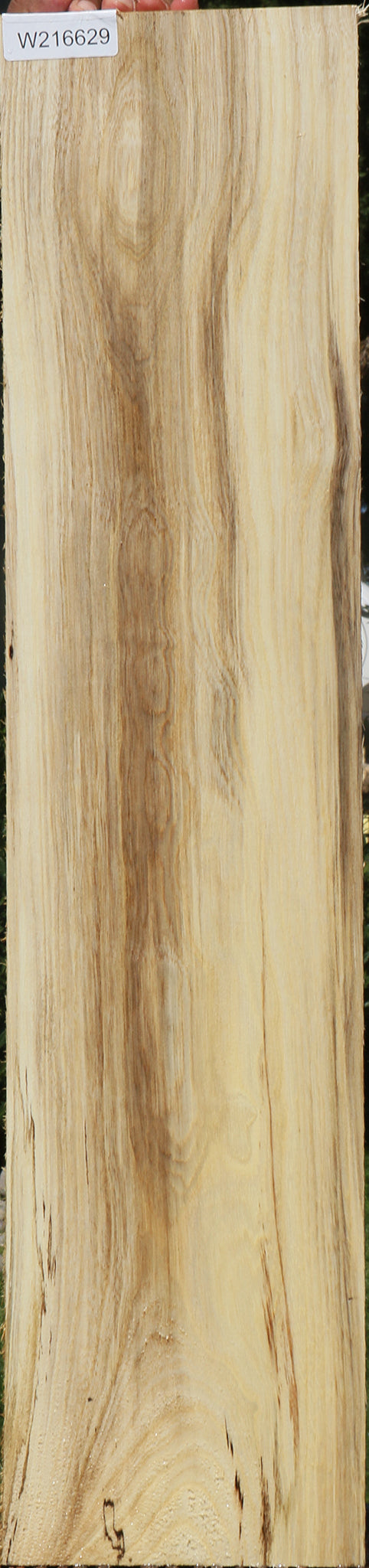 Figured Spalted Hackberry Lumber