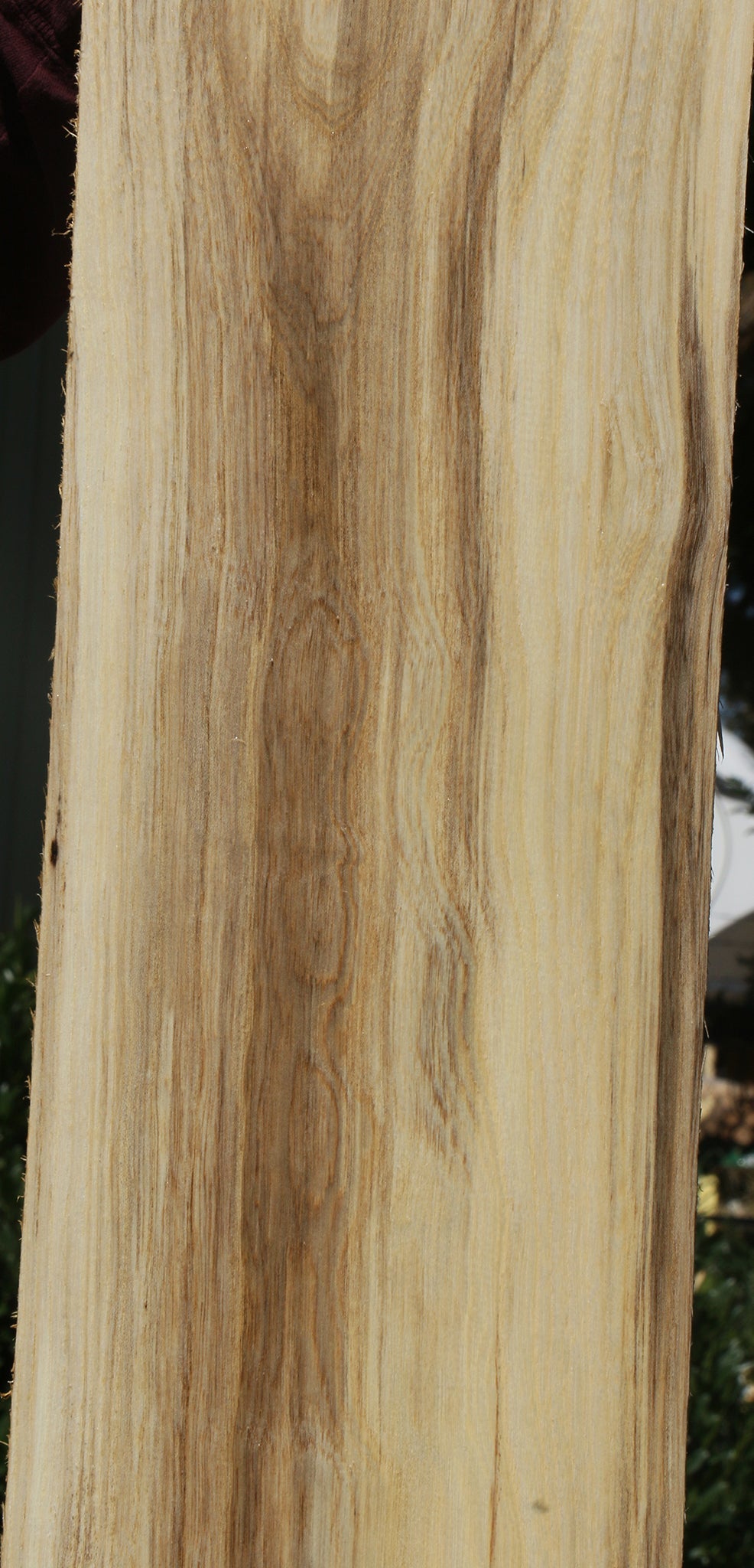 Figured Spalted Hackberry Lumber