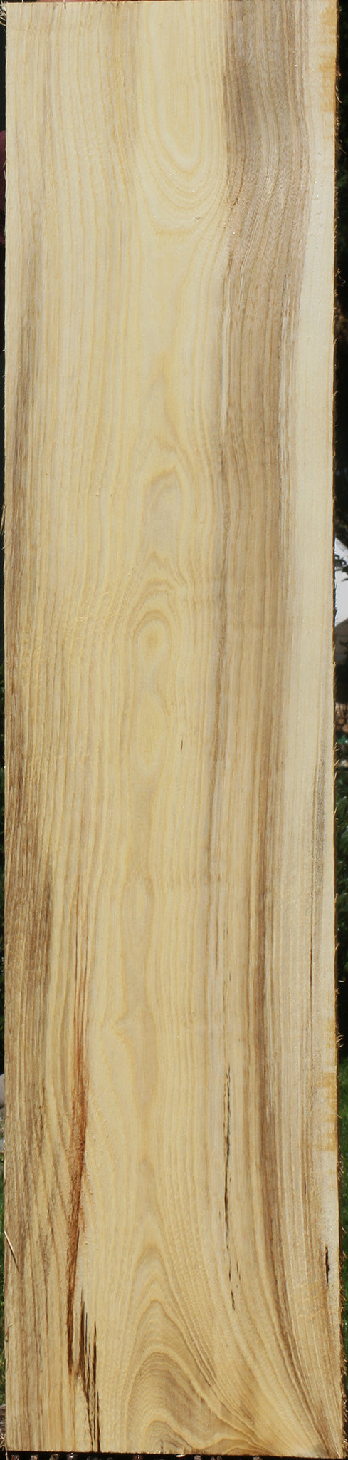 Figured Spalted Hackberry Lumber