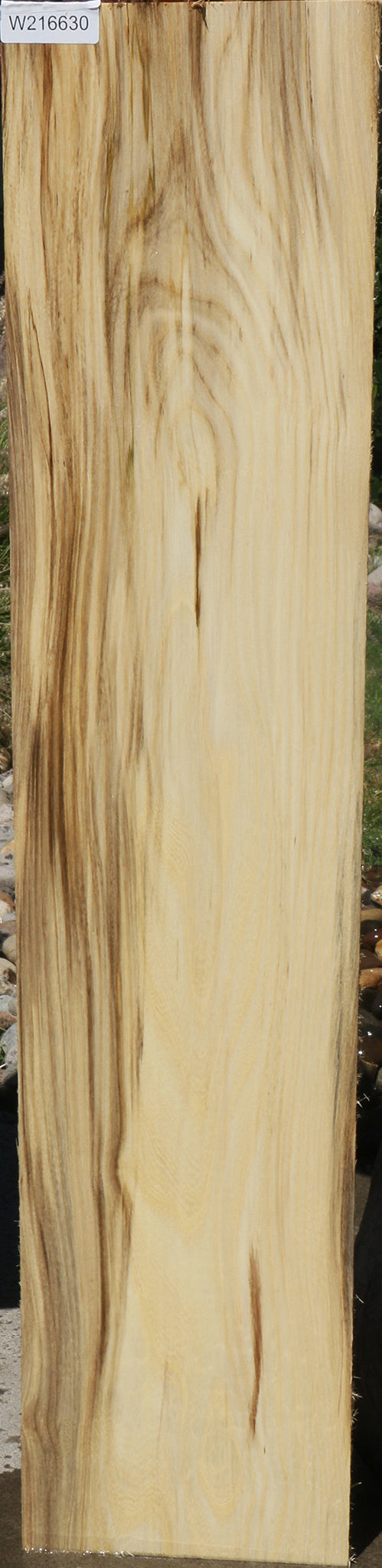 Extra Fancy Spalted Hackberry Lumber