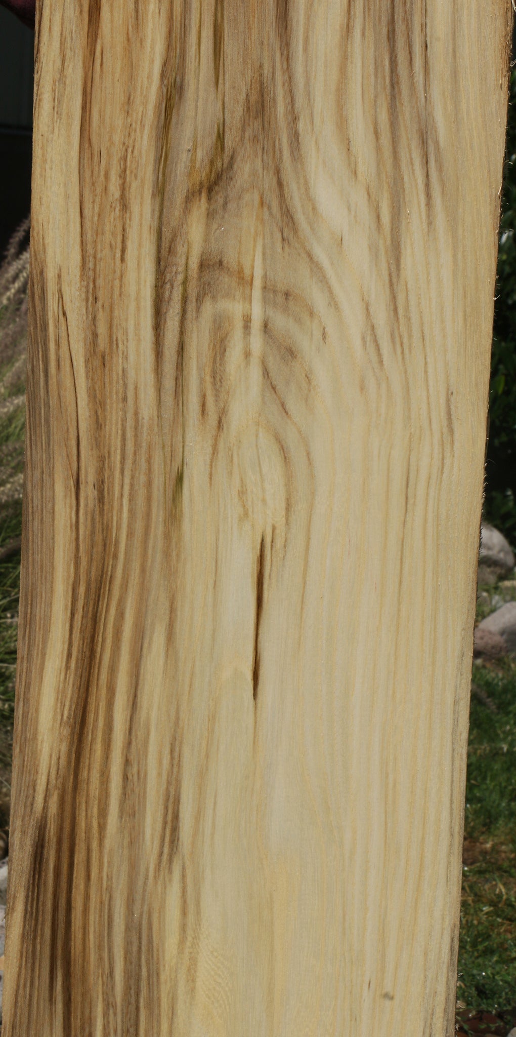 Extra Fancy Spalted Hackberry Lumber