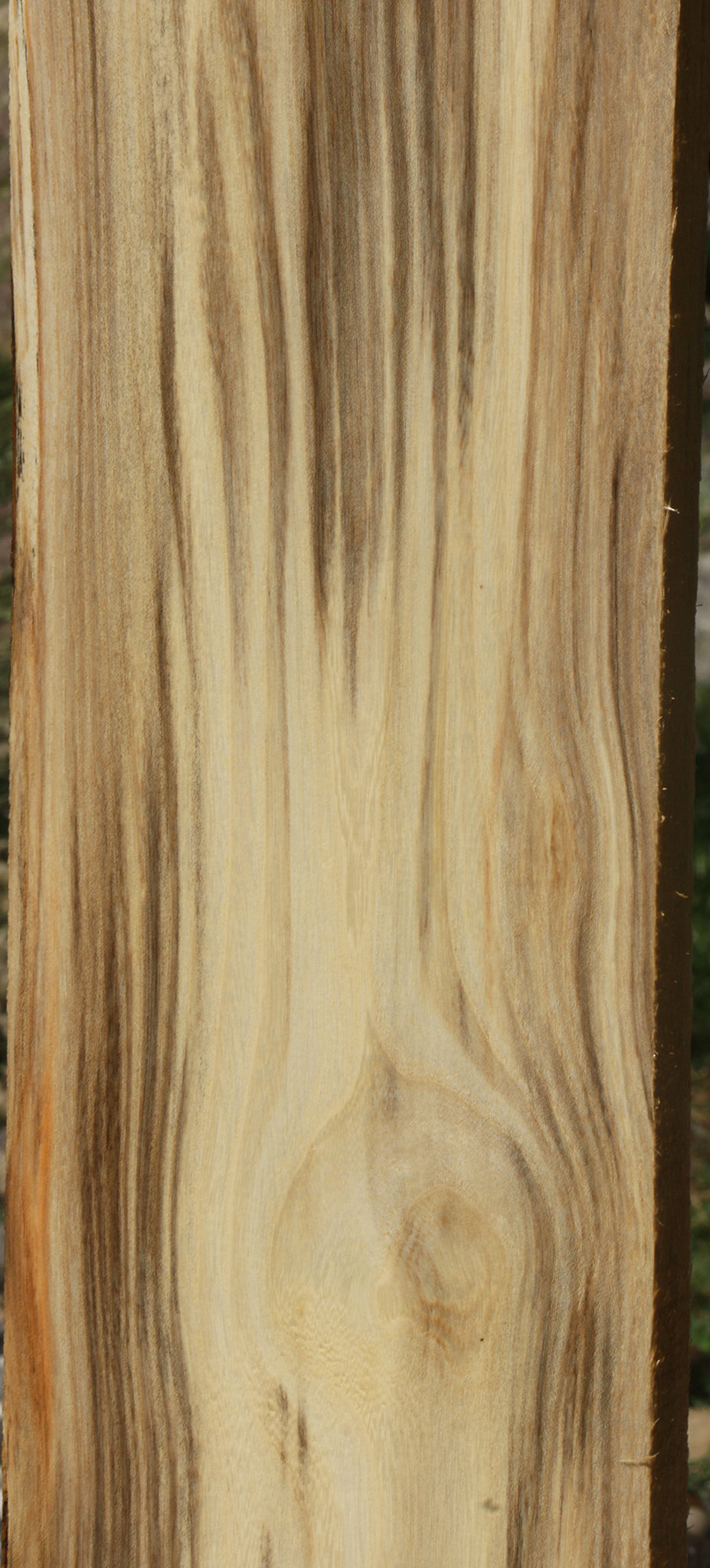 Extra Fancy Spalted Hackberry Lumber