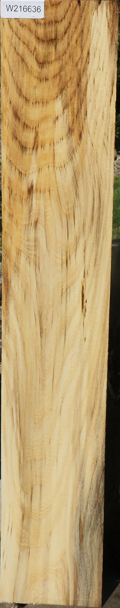 Extra Fancy Spalted Hackberry Lumber