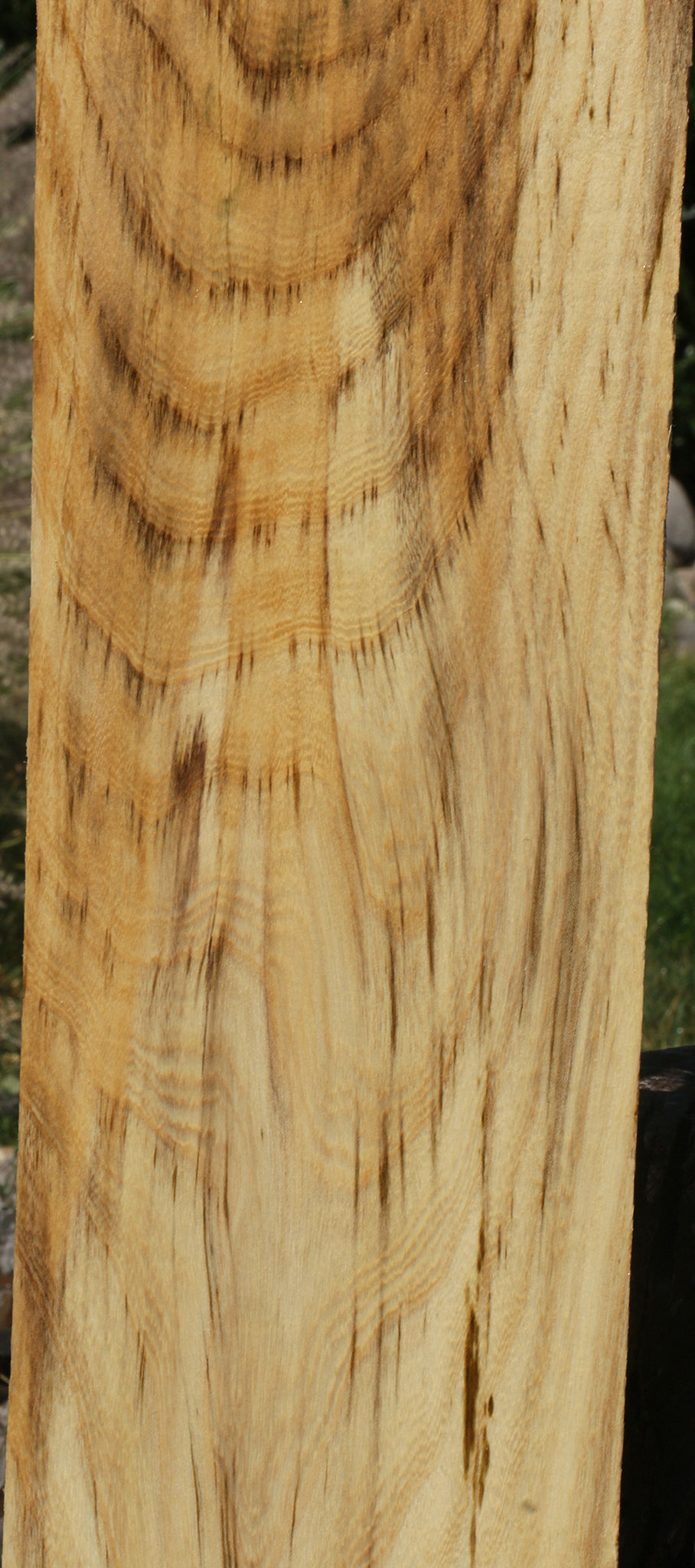 Extra Fancy Spalted Hackberry Lumber