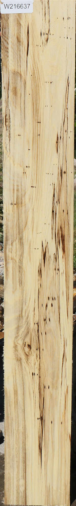 Extra Fancy Spalted Hackberry Lumber