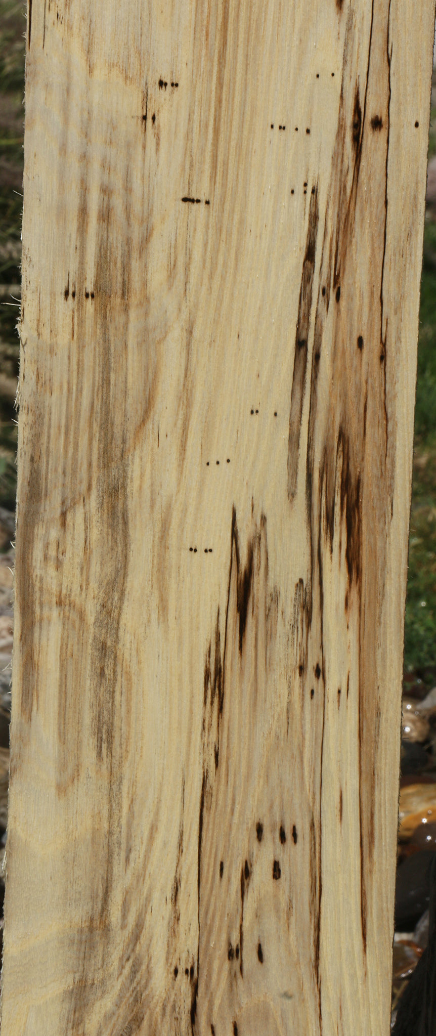 Extra Fancy Spalted Hackberry Lumber