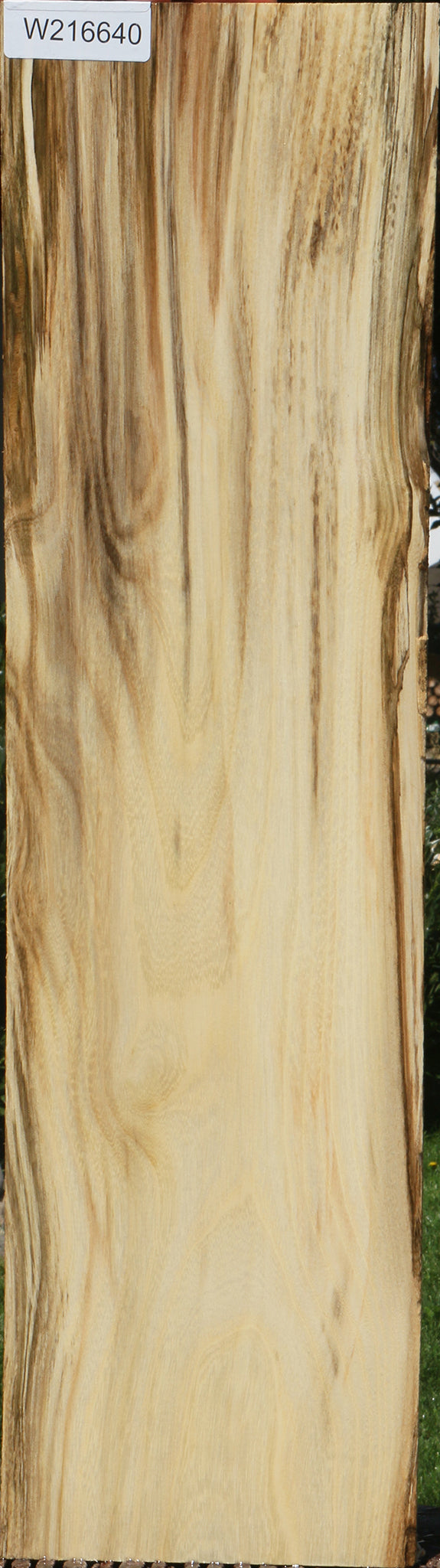 Extra Fancy Spalted Hackberry Lumber