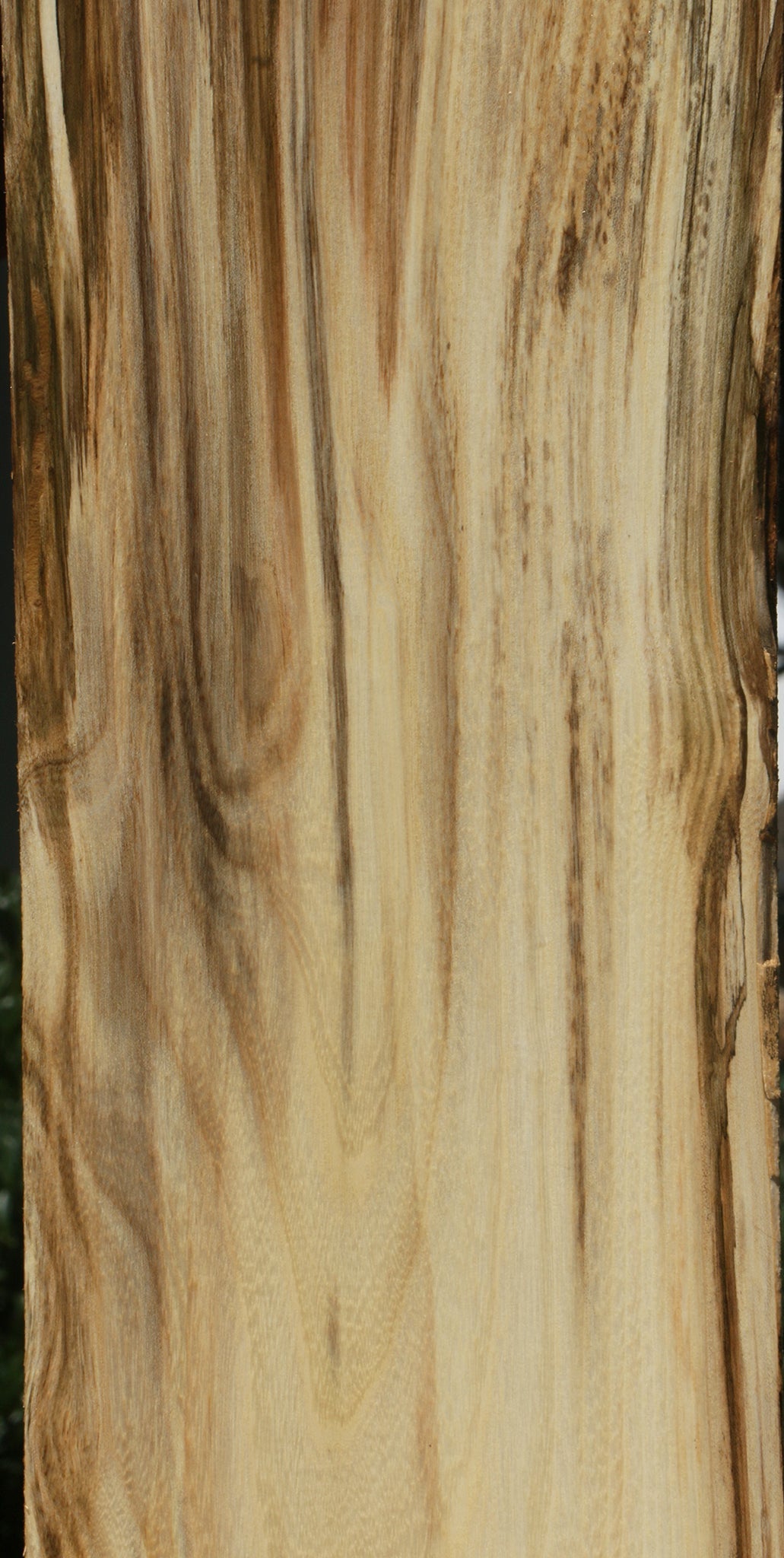 Extra Fancy Spalted Hackberry Lumber