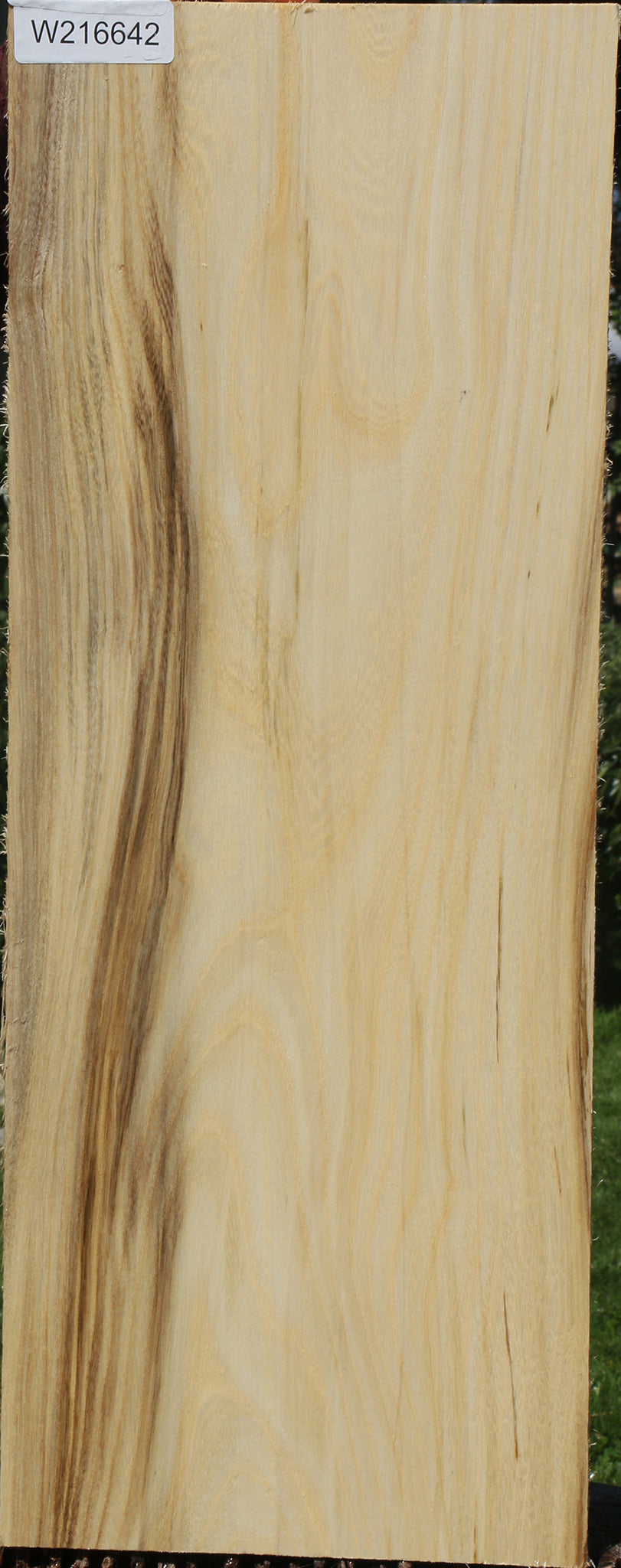 Figured Spalted Hackberry Lumber