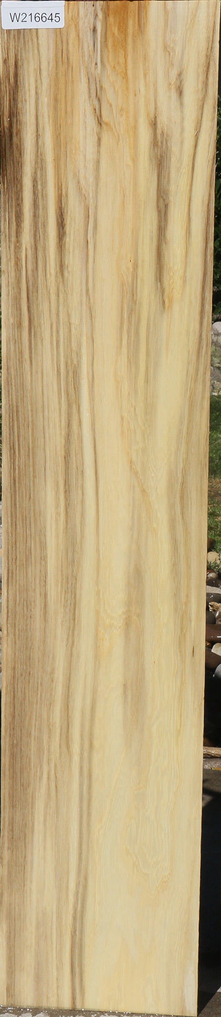 Figured Spalted Hackberry Lumber