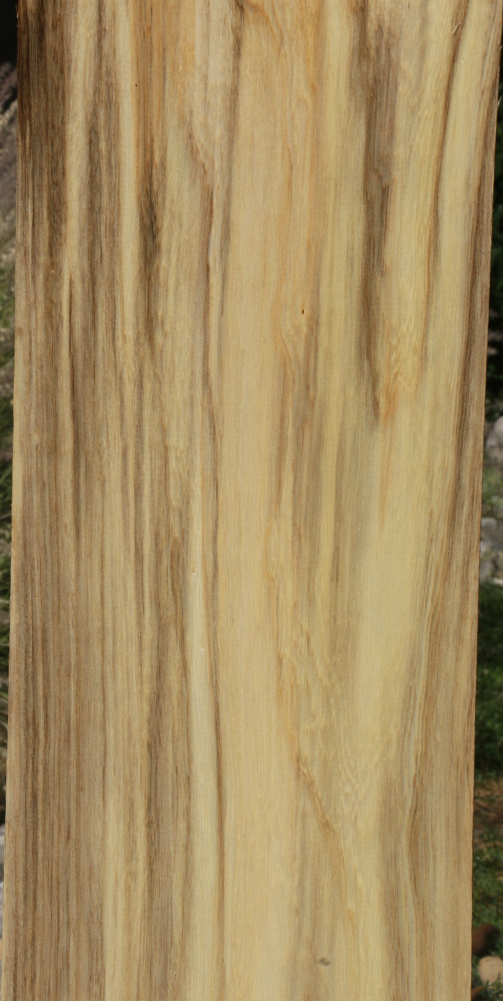 Figured Spalted Hackberry Lumber