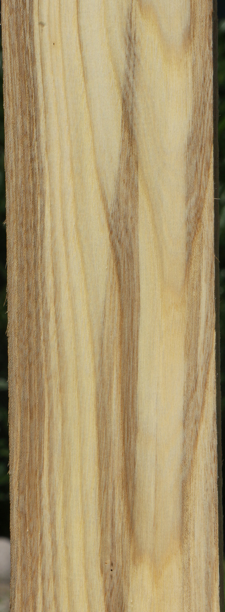 Figured Spalted Hackberry Lumber