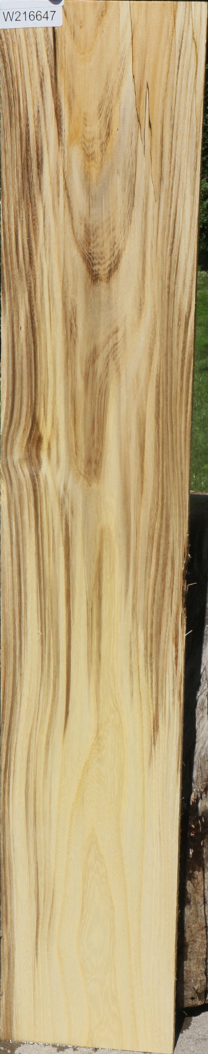 Extra Fancy Spalted Hackberry Lumber