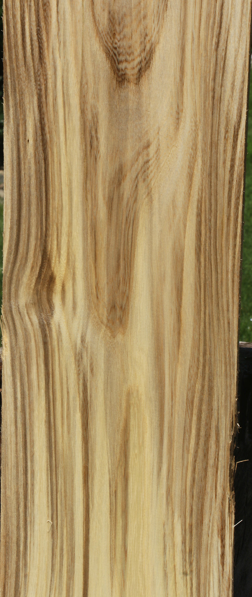 Extra Fancy Spalted Hackberry Lumber