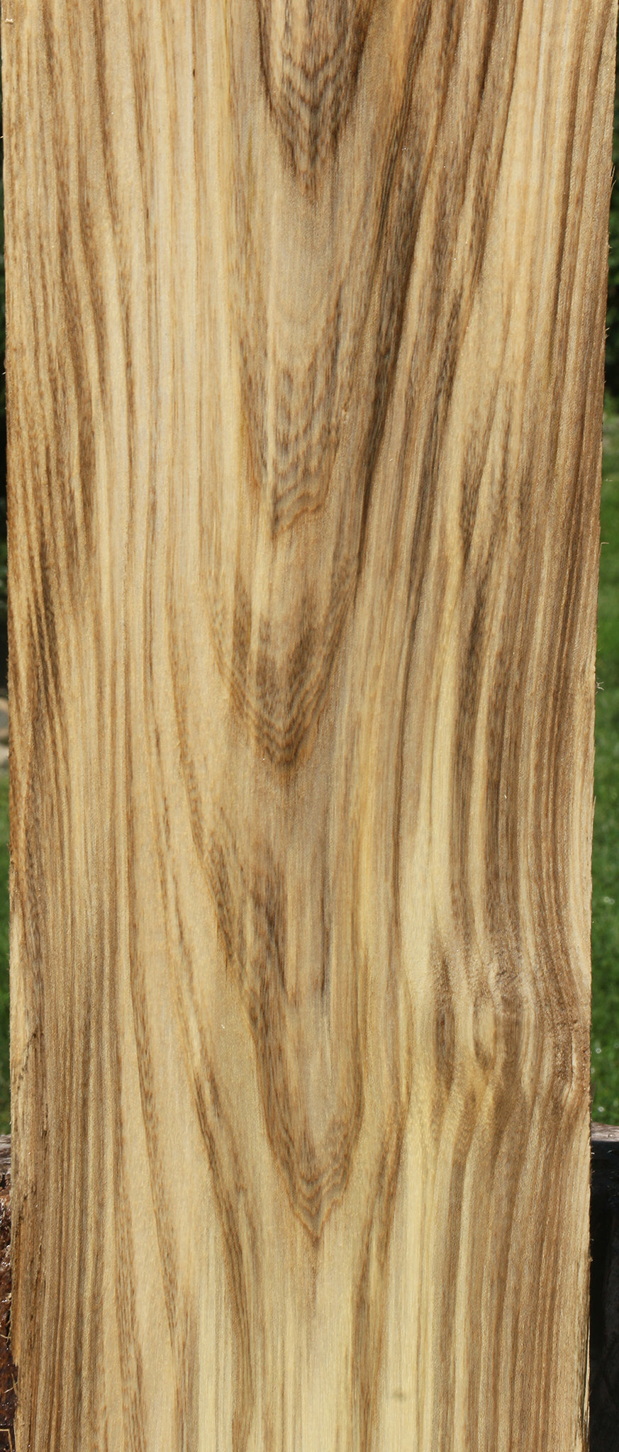 Extra Fancy Spalted Hackberry Lumber