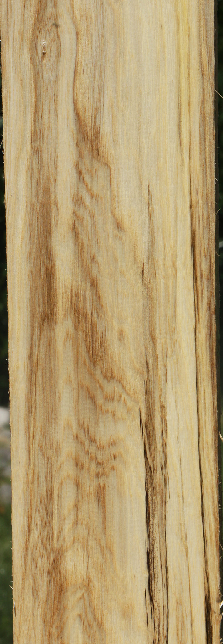 Figured Spalted Hackberry Lumber