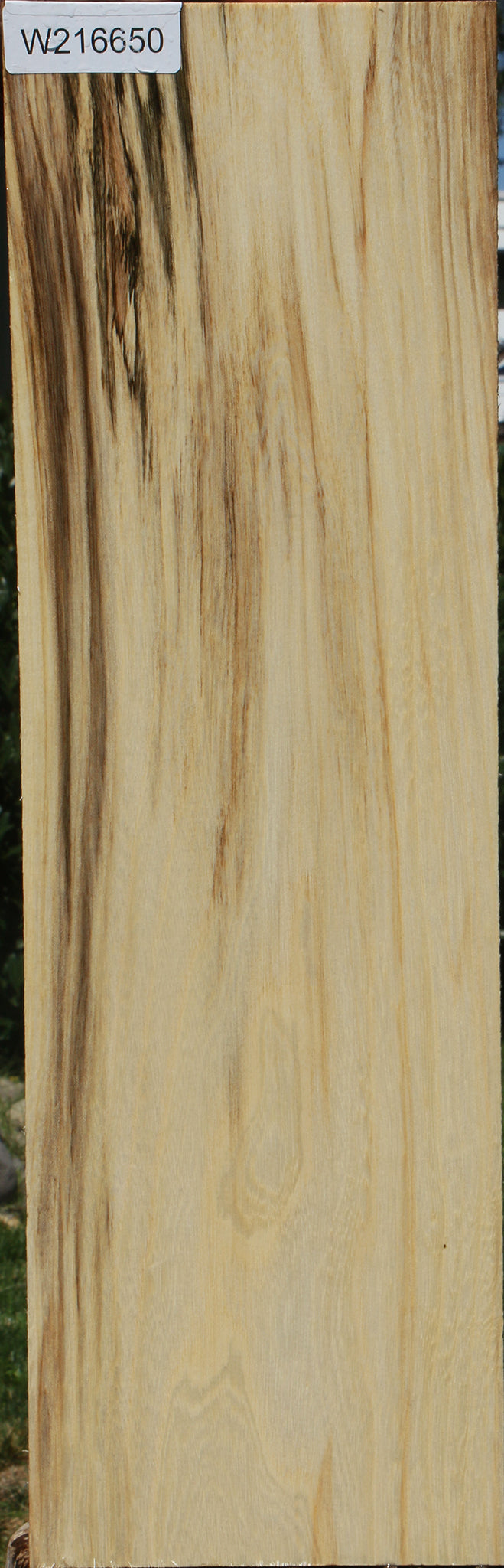 Figured Spalted Hackberry Lumber