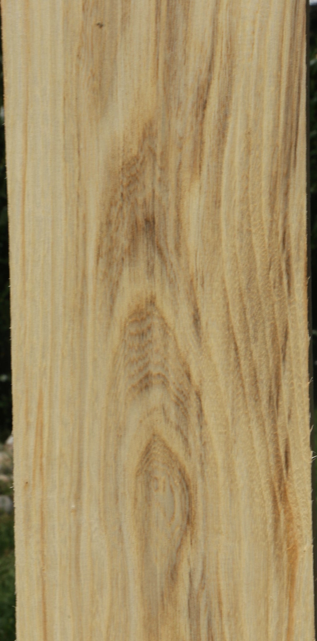 Figured Spalted Hackberry Lumber