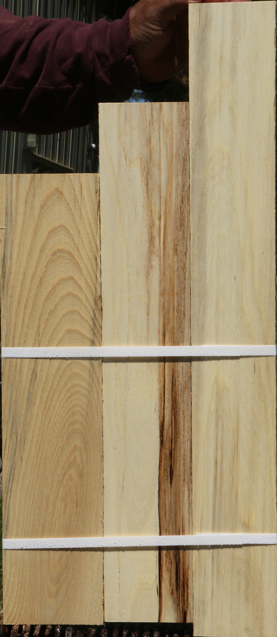 Spalted Hackberry Lumber 3 Pack