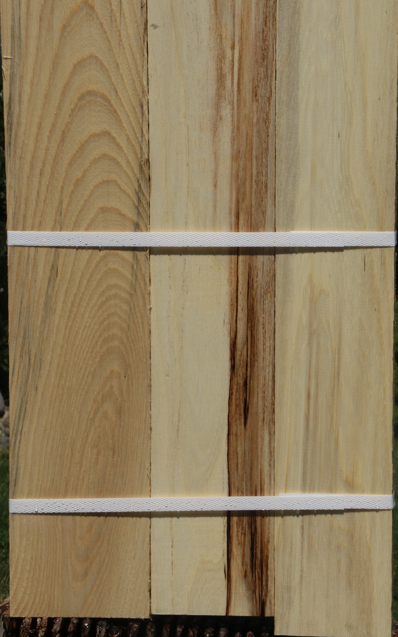 Spalted Hackberry Lumber 3 Pack