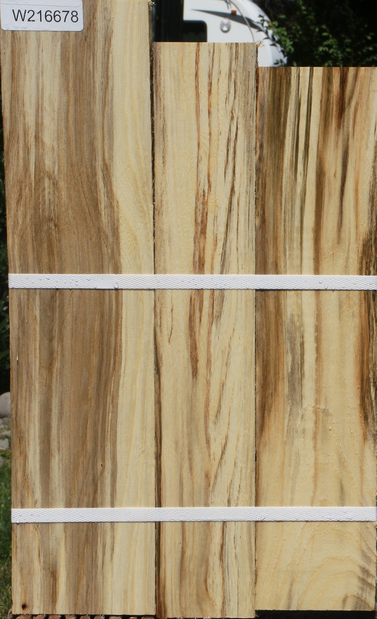 Figured Spalted Hackberry Lumber 3 Pack