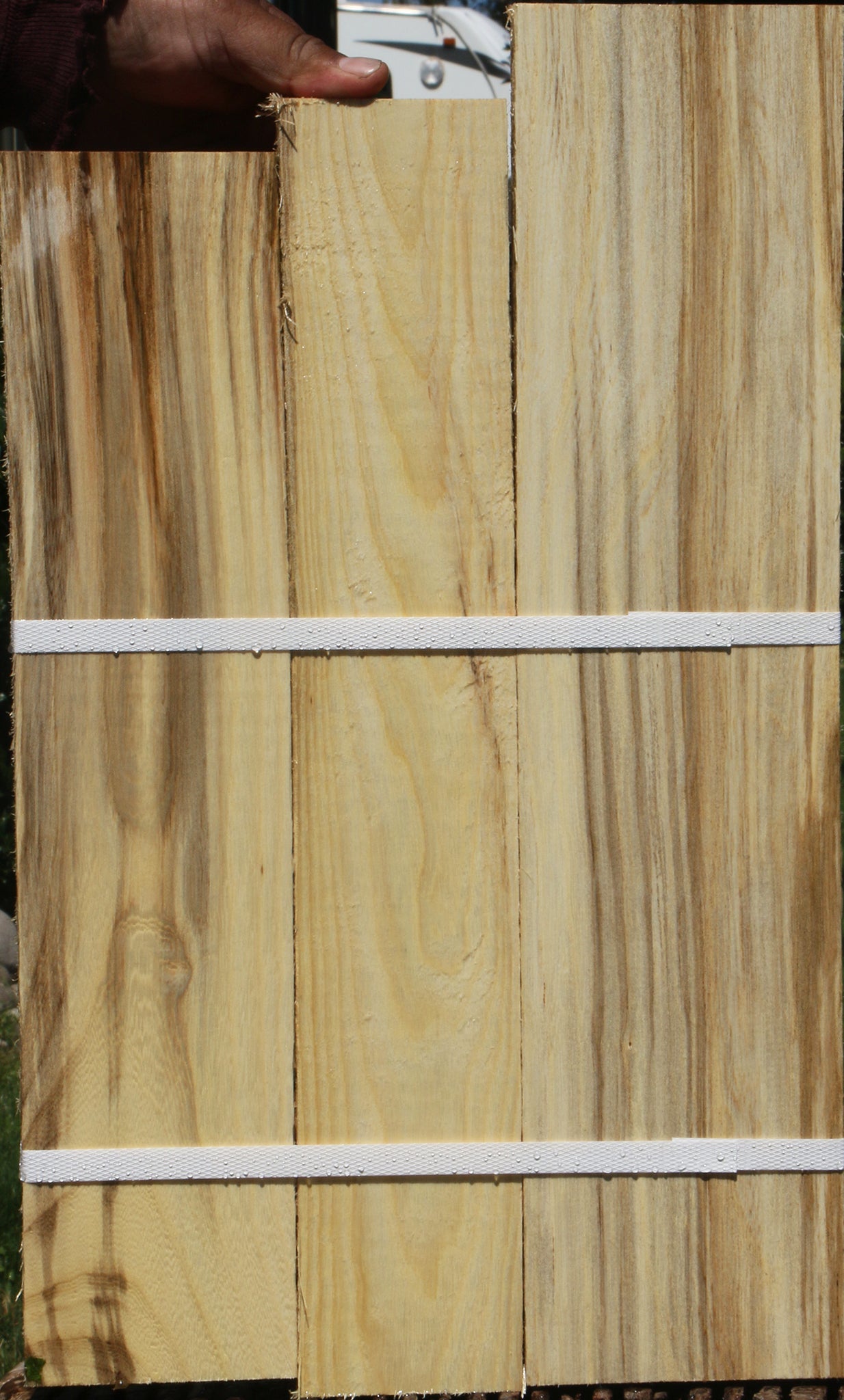 Figured Spalted Hackberry Lumber 3 Pack