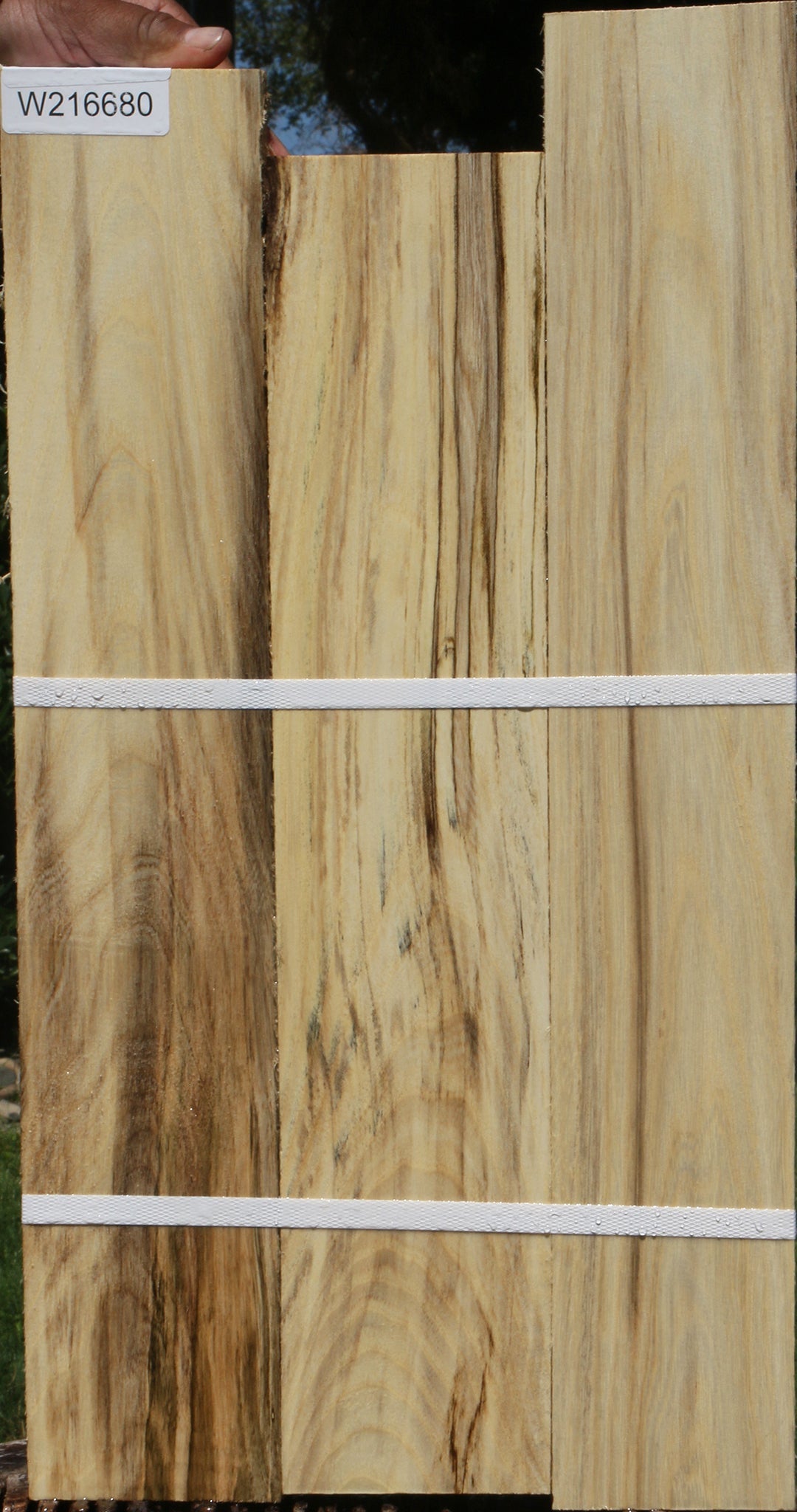 Figured Spalted Hackberry Lumber 3 Pack