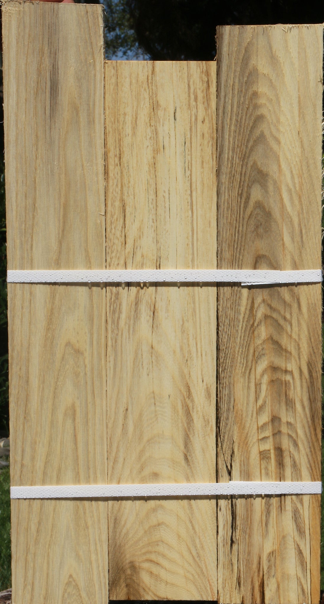 Figured Spalted Hackberry Lumber 3 Pack