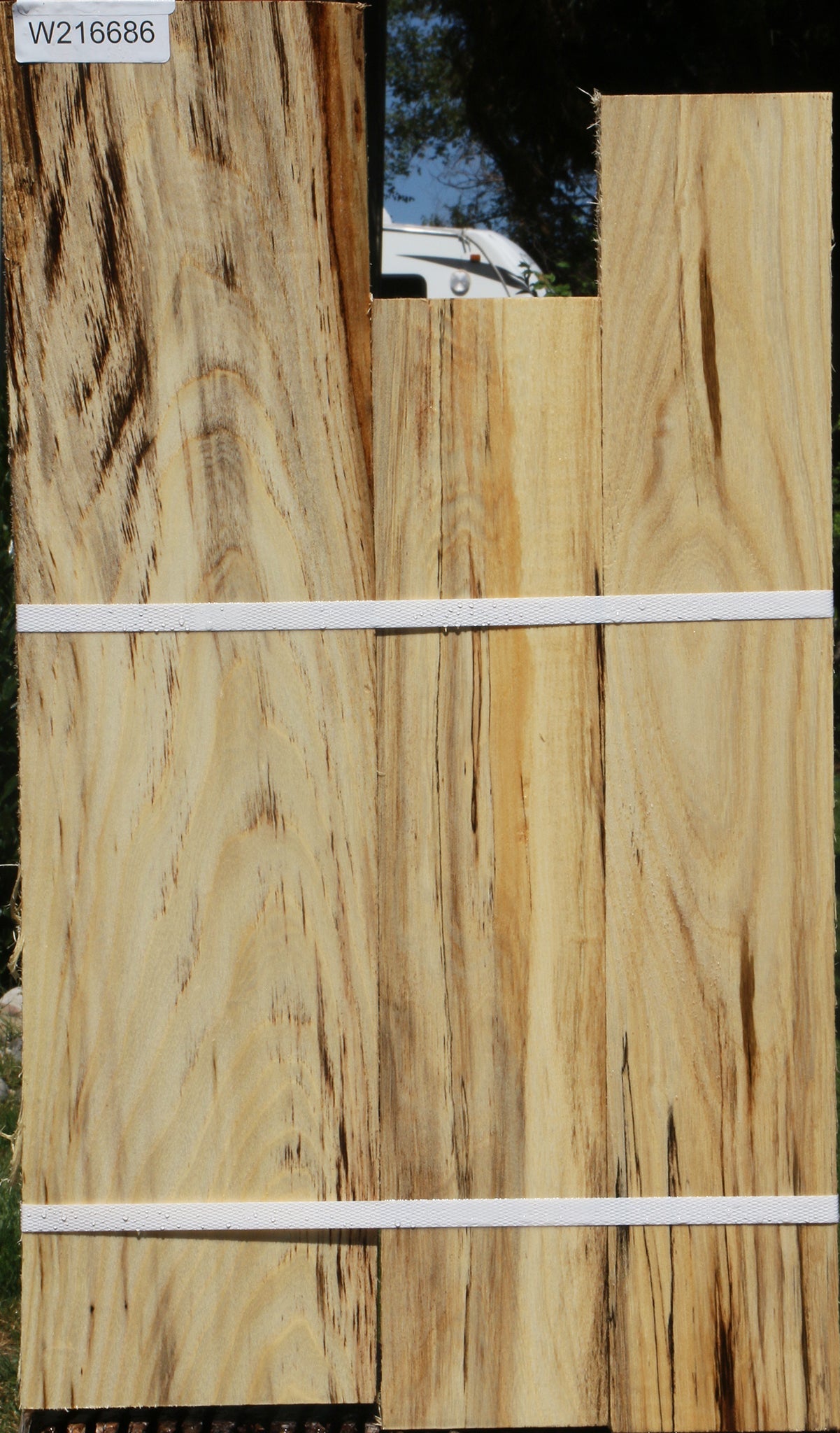 Figured Spalted Hackberry Lumber 3 Pack