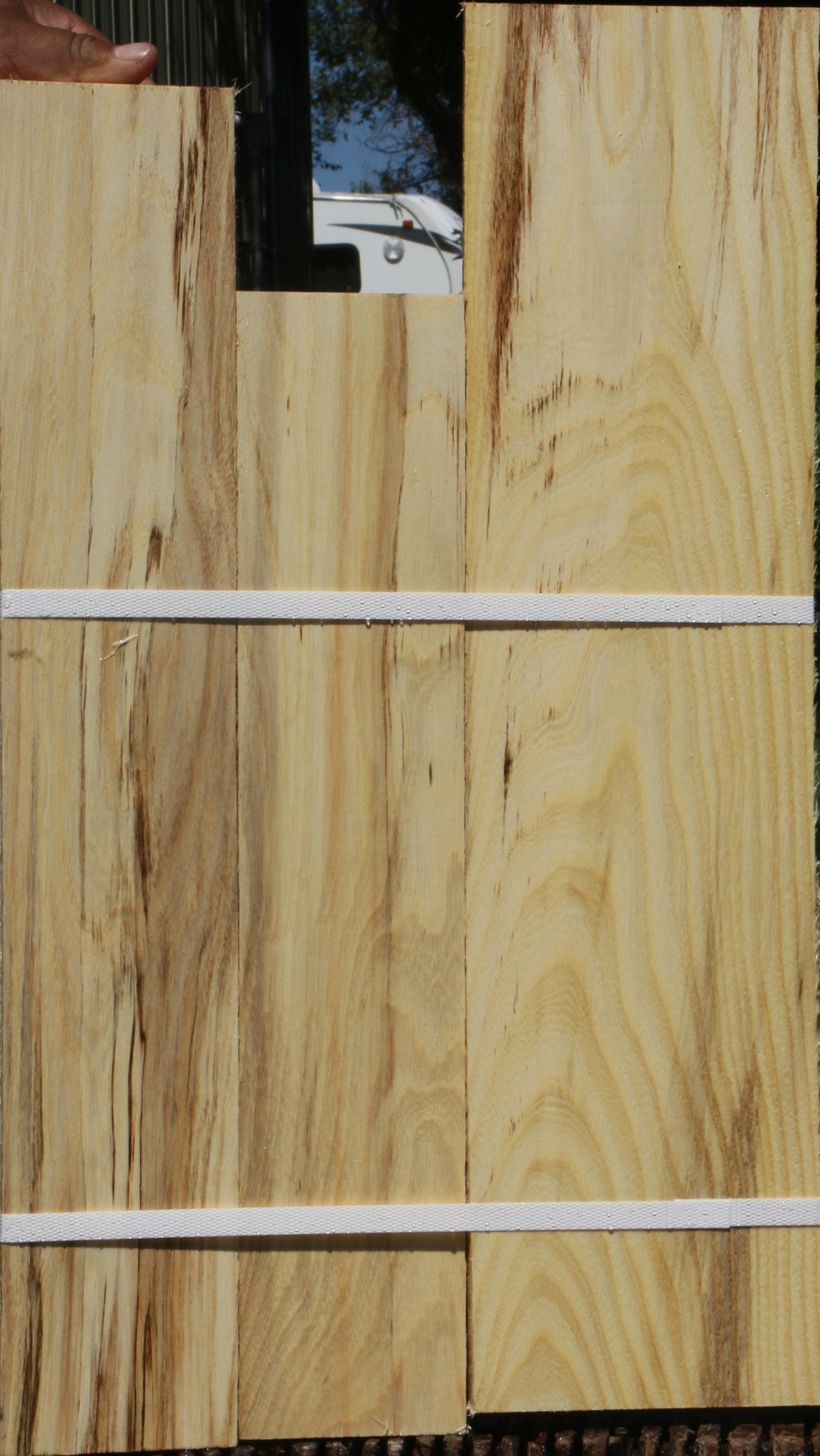 Figured Spalted Hackberry Lumber 3 Pack