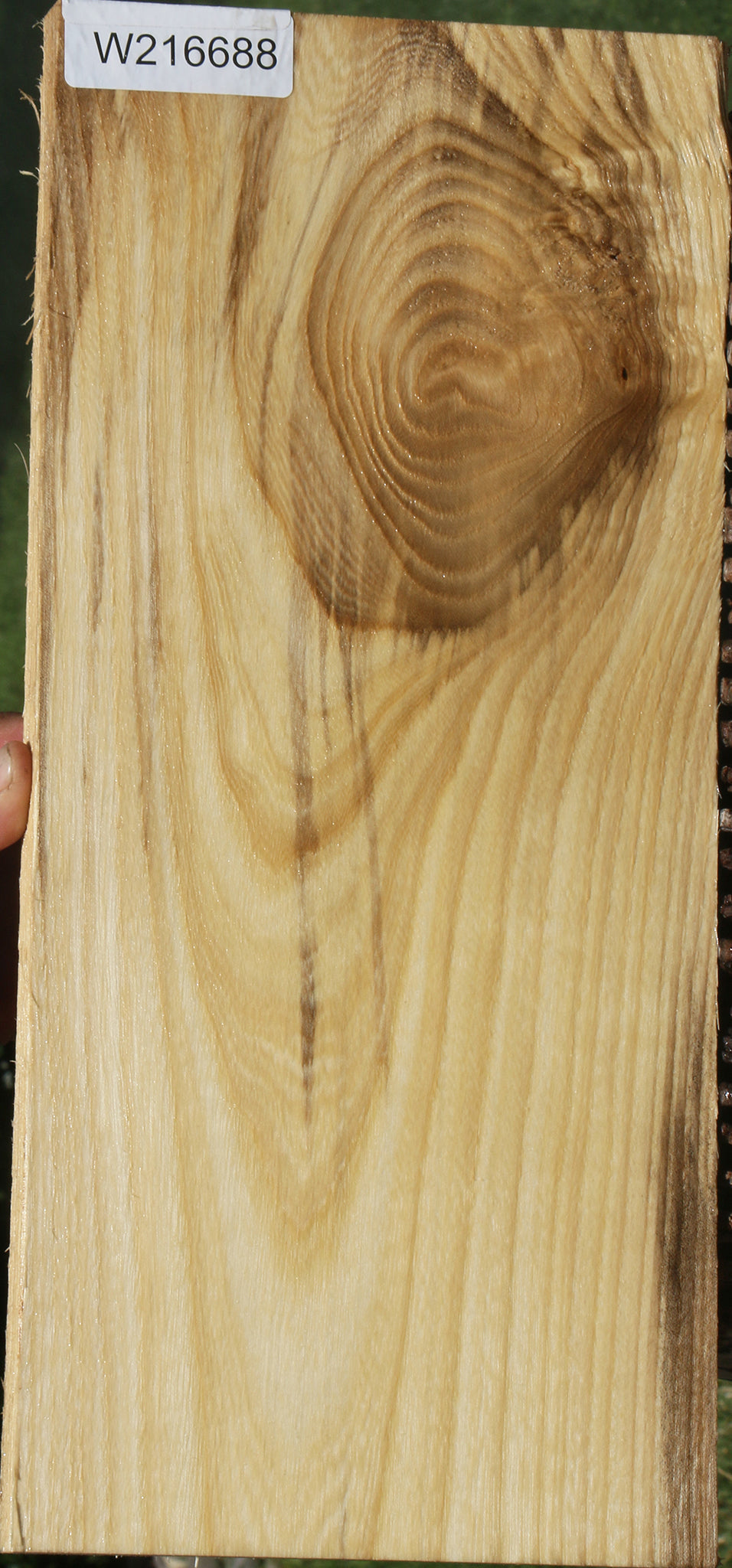 Figured Spalted Hackberry Lumber