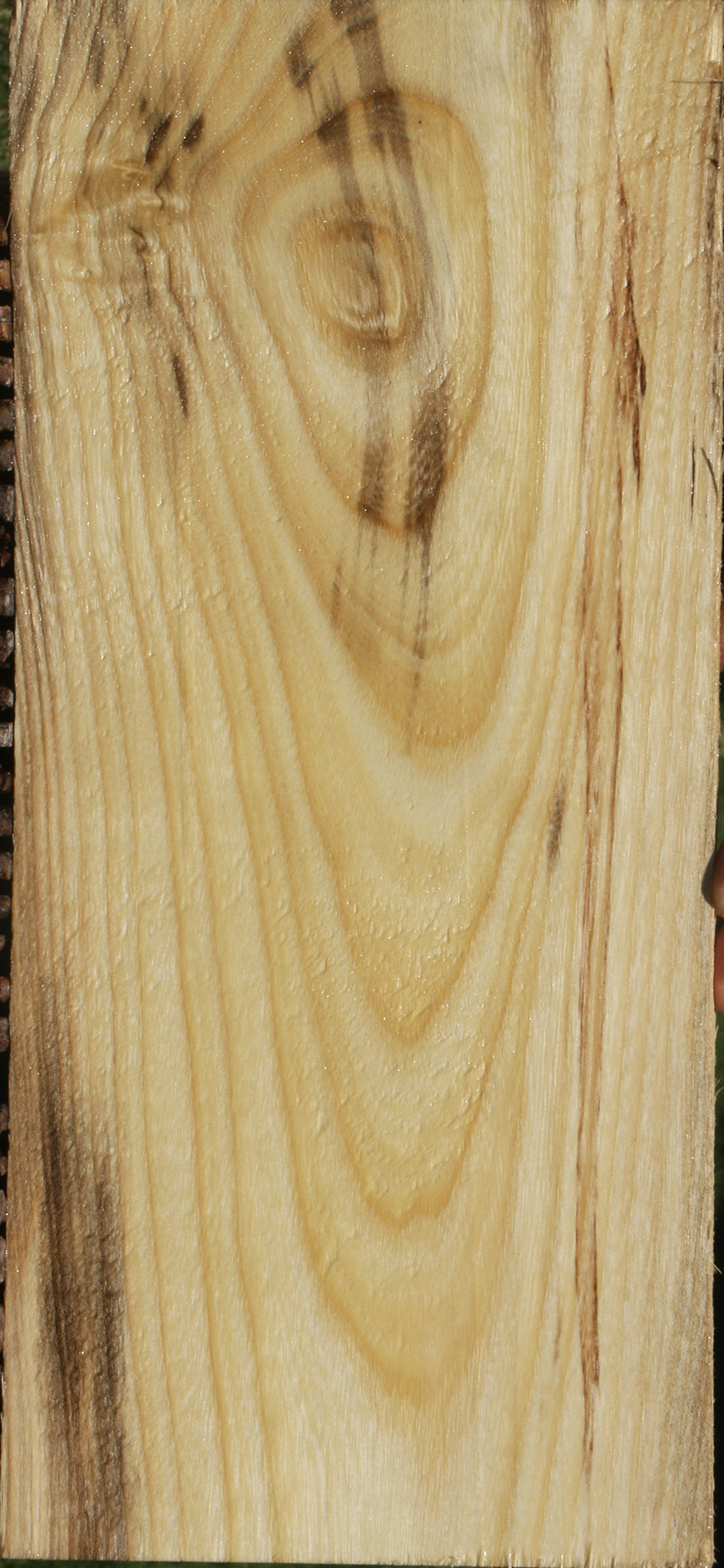 Figured Spalted Hackberry Lumber