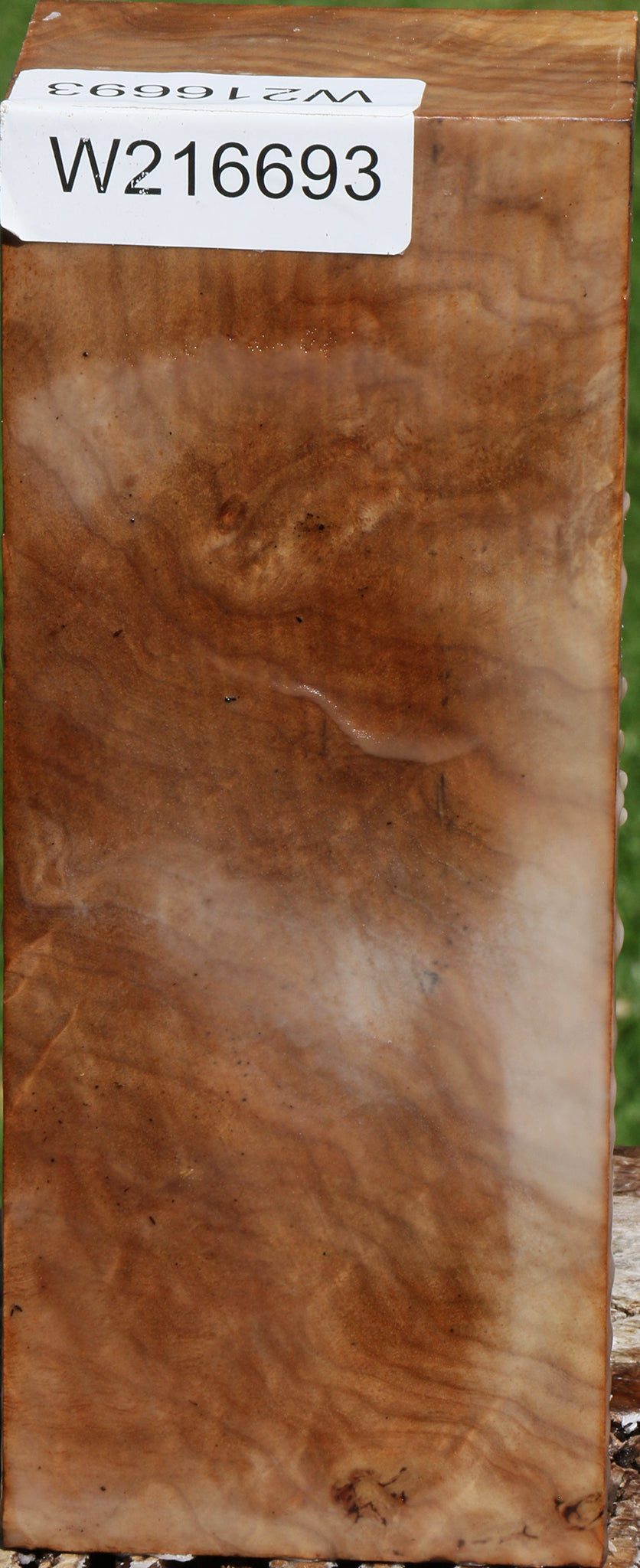 Figured Australian Eucalyptus Burl Turning Blank