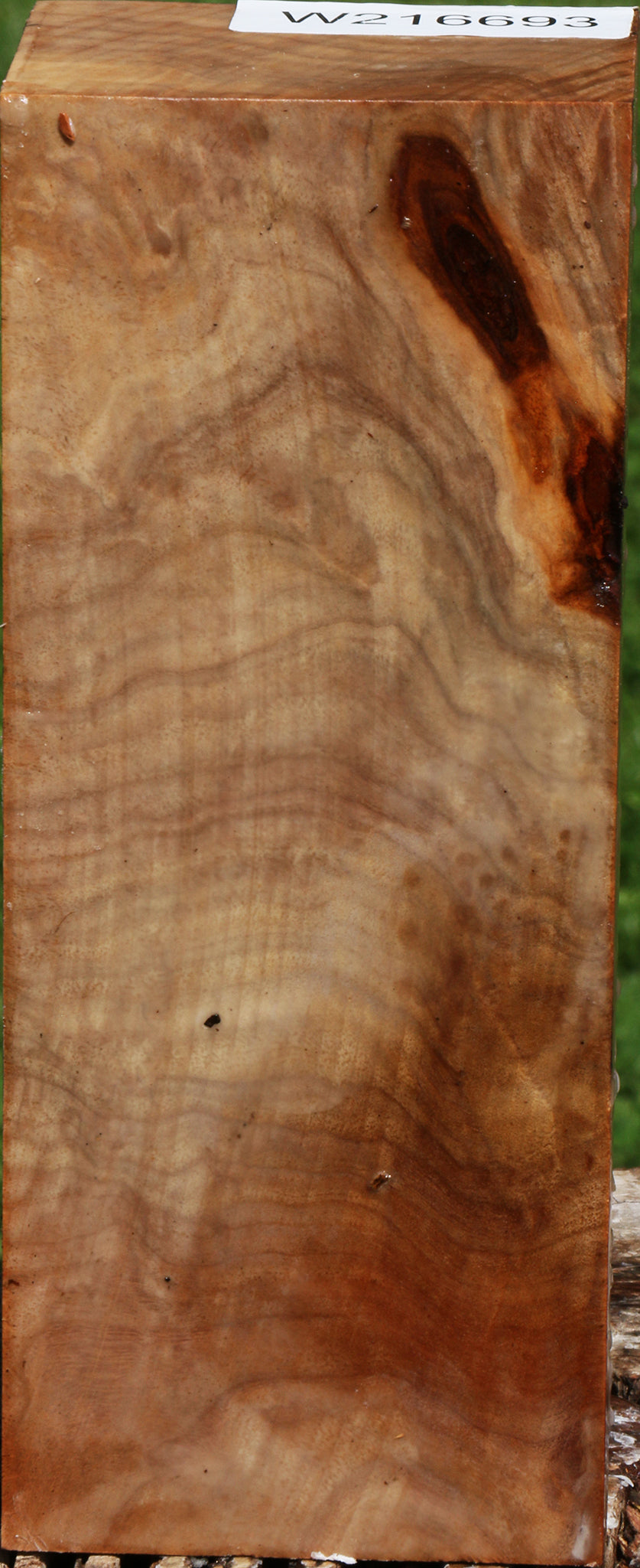 Figured Australian Eucalyptus Burl Turning Blank