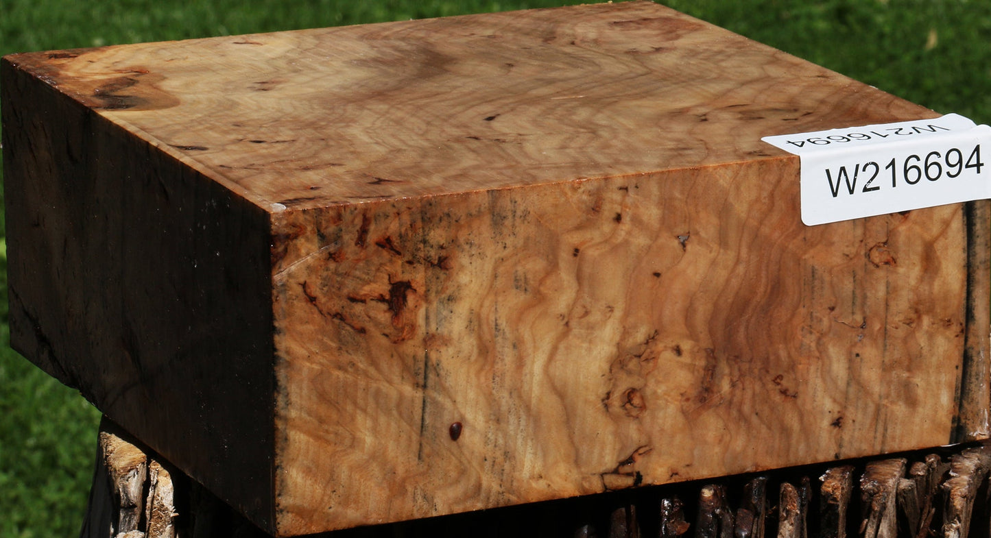 Extra Fancy Australian Eucalyptus Burl Bowl Blank