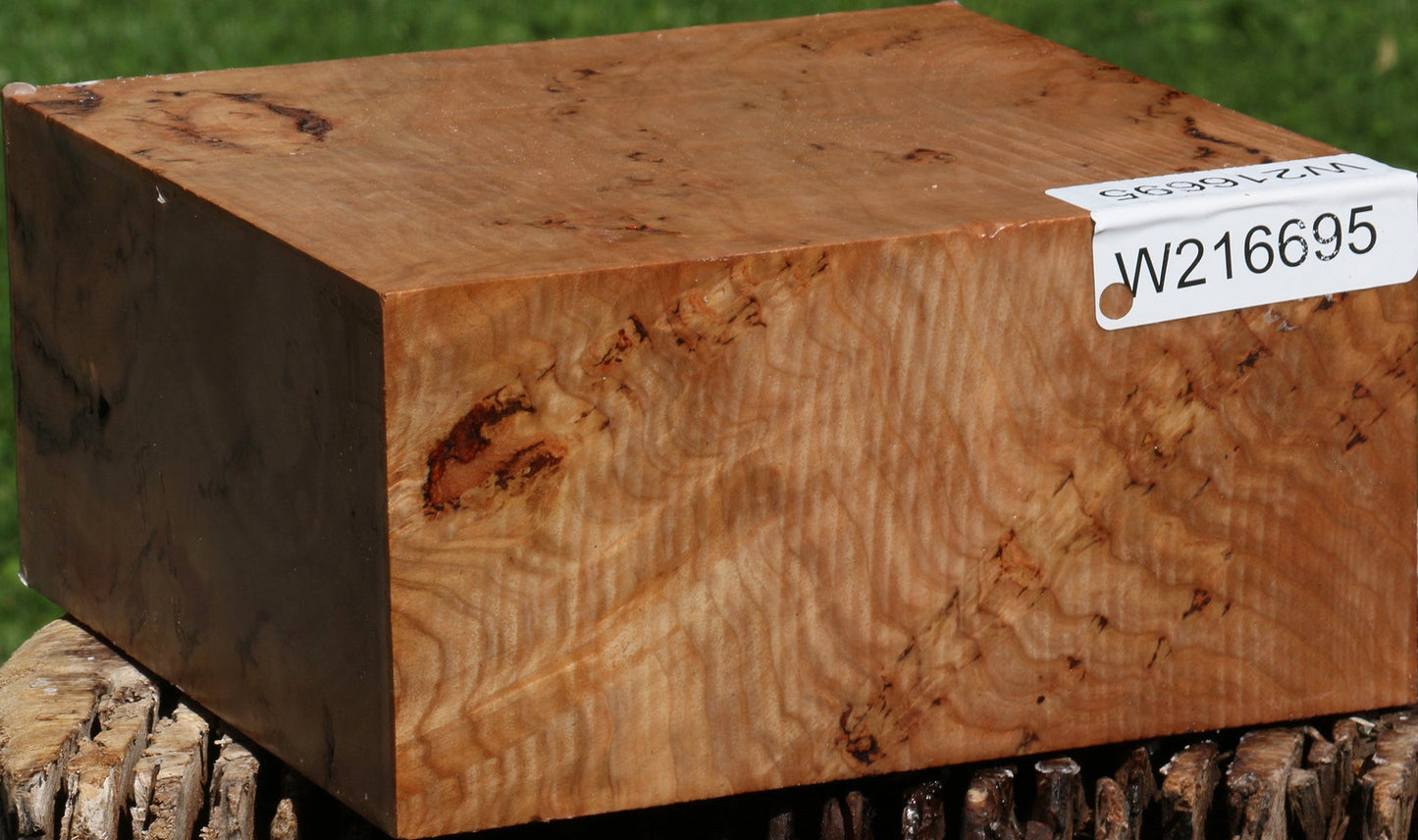 Extra Fancy Australian Eucalyptus Burl Bowl Blank