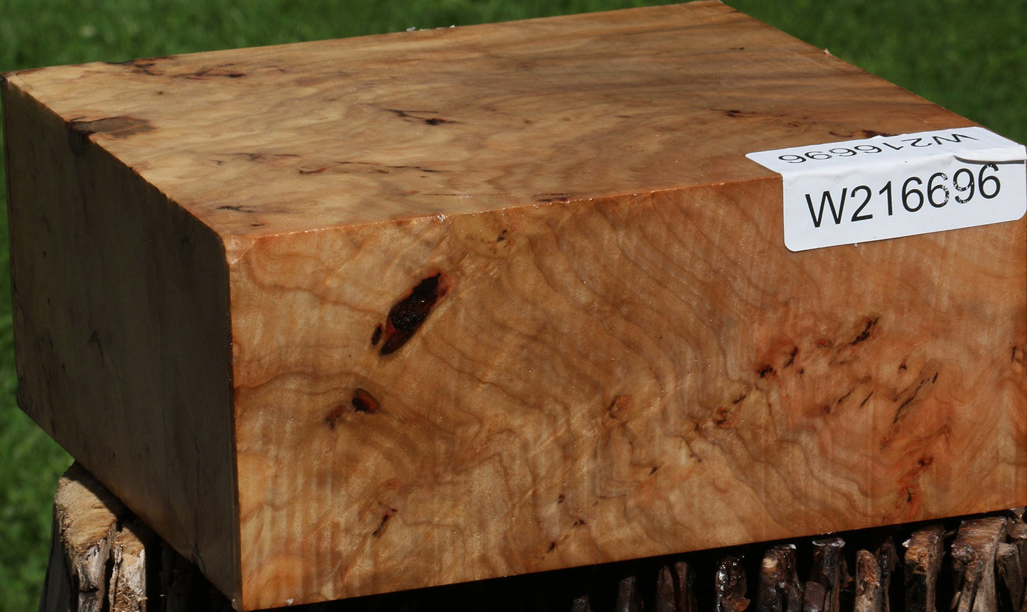 Extra Fancy Australian Eucalyptus Burl Bowl Blank