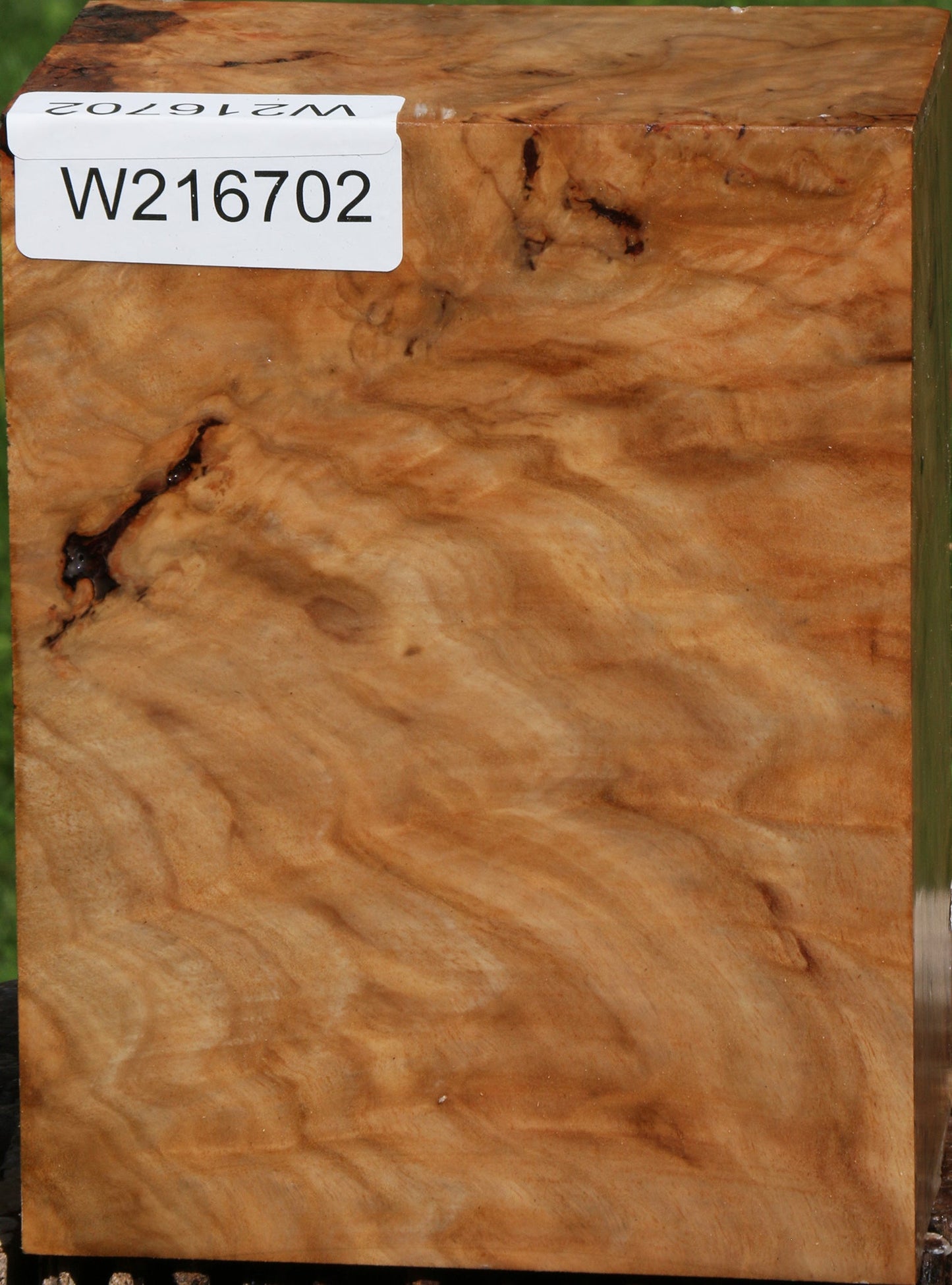 Australian Eucalyptus Burl Turning Blank