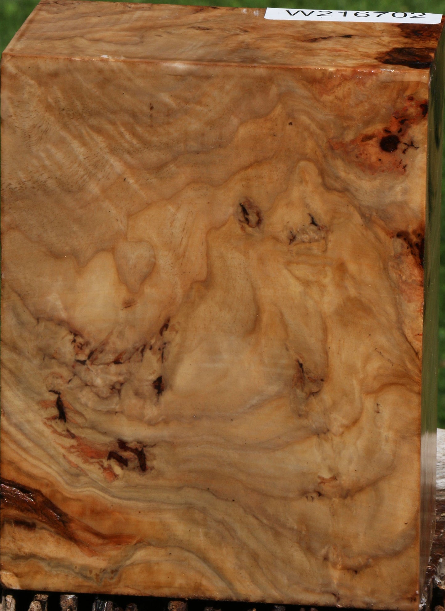 Australian Eucalyptus Burl Turning Blank