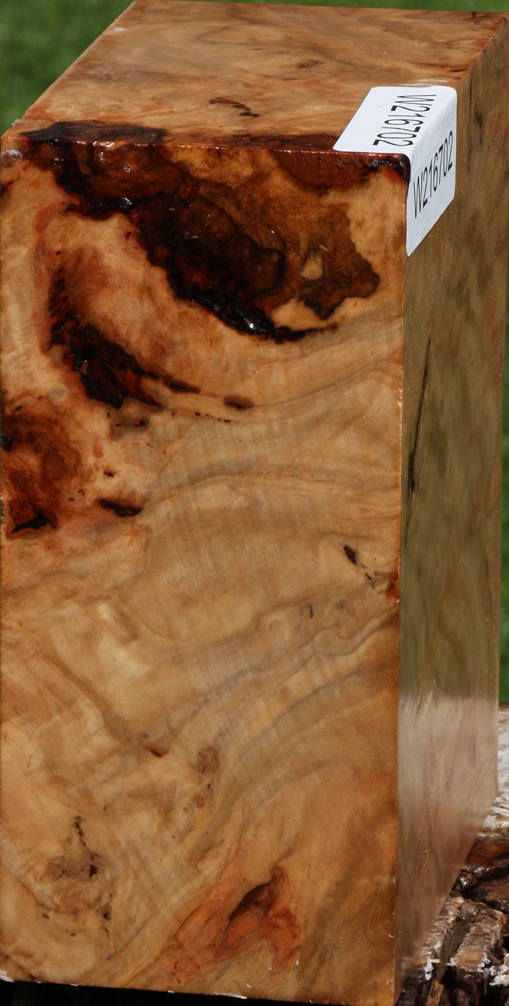 Australian Eucalyptus Burl Turning Blank