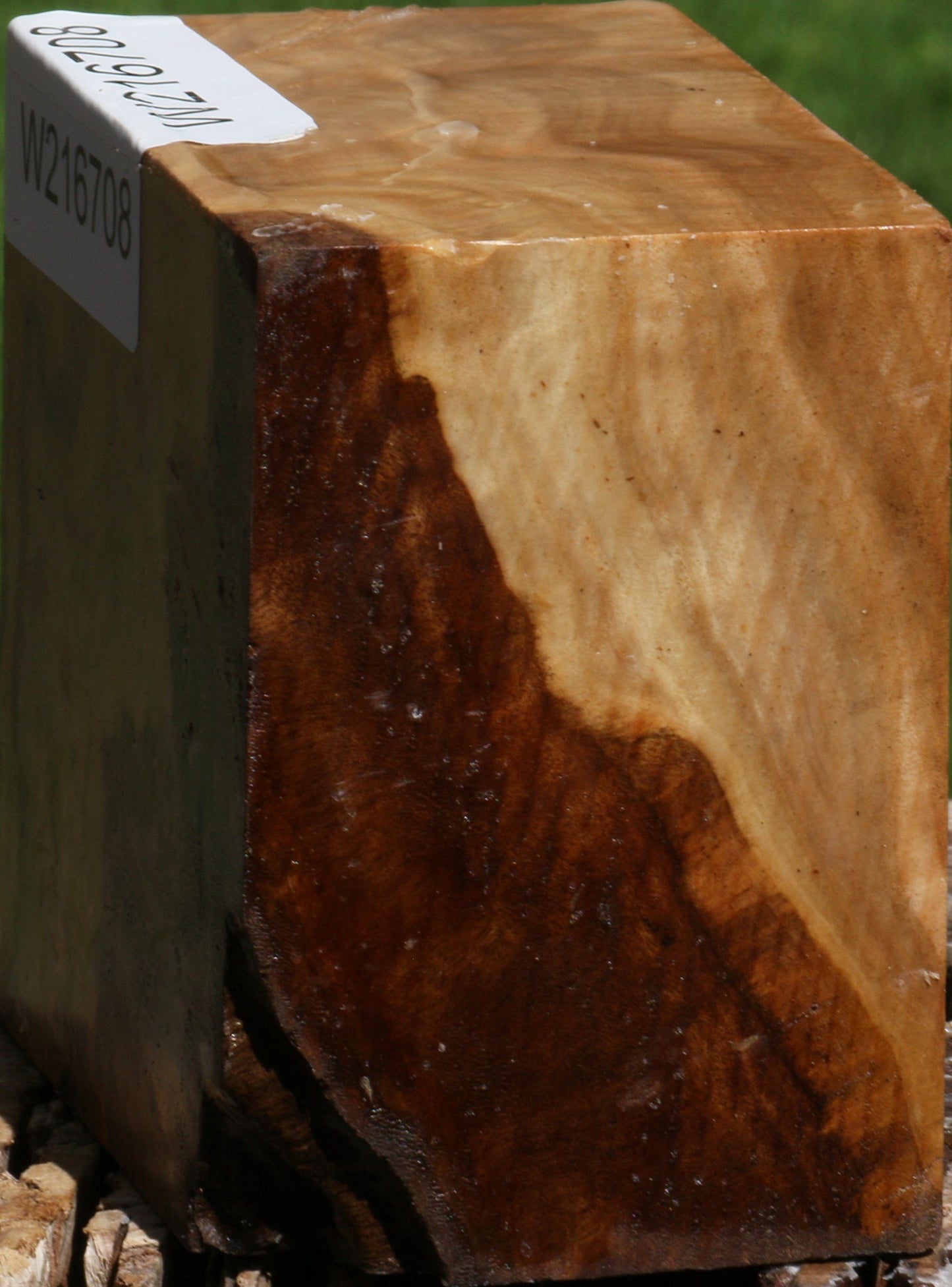 Extra Fancy Australian Eucalyptus Burl Bowl Blank