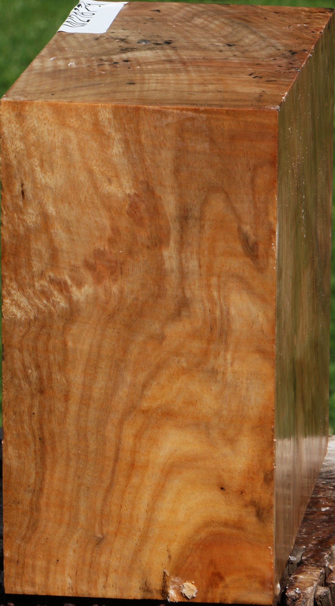 Extra Fancy Australian Eucalyptus Burl Bowl Blank