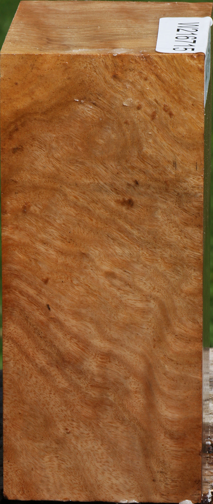 Australian Eucalyptus Burl Turning Blank