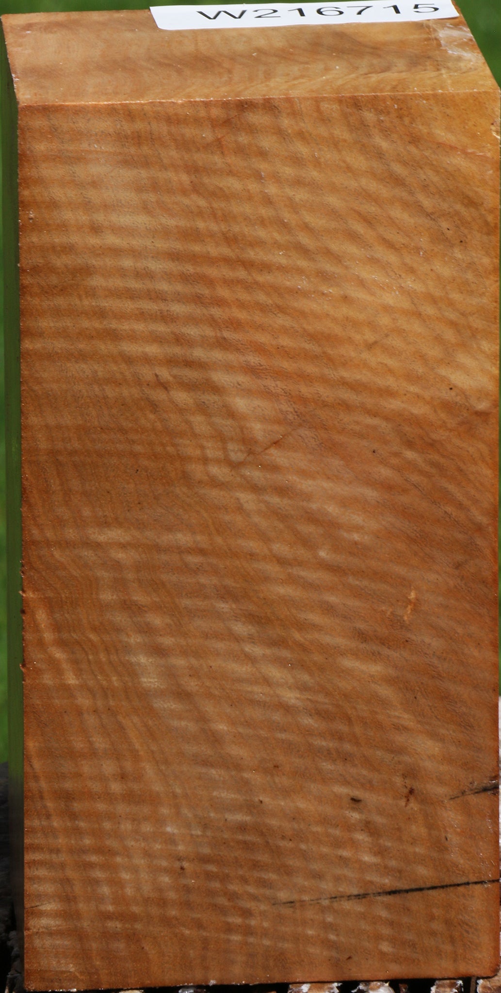 Australian Eucalyptus Burl Turning Blank