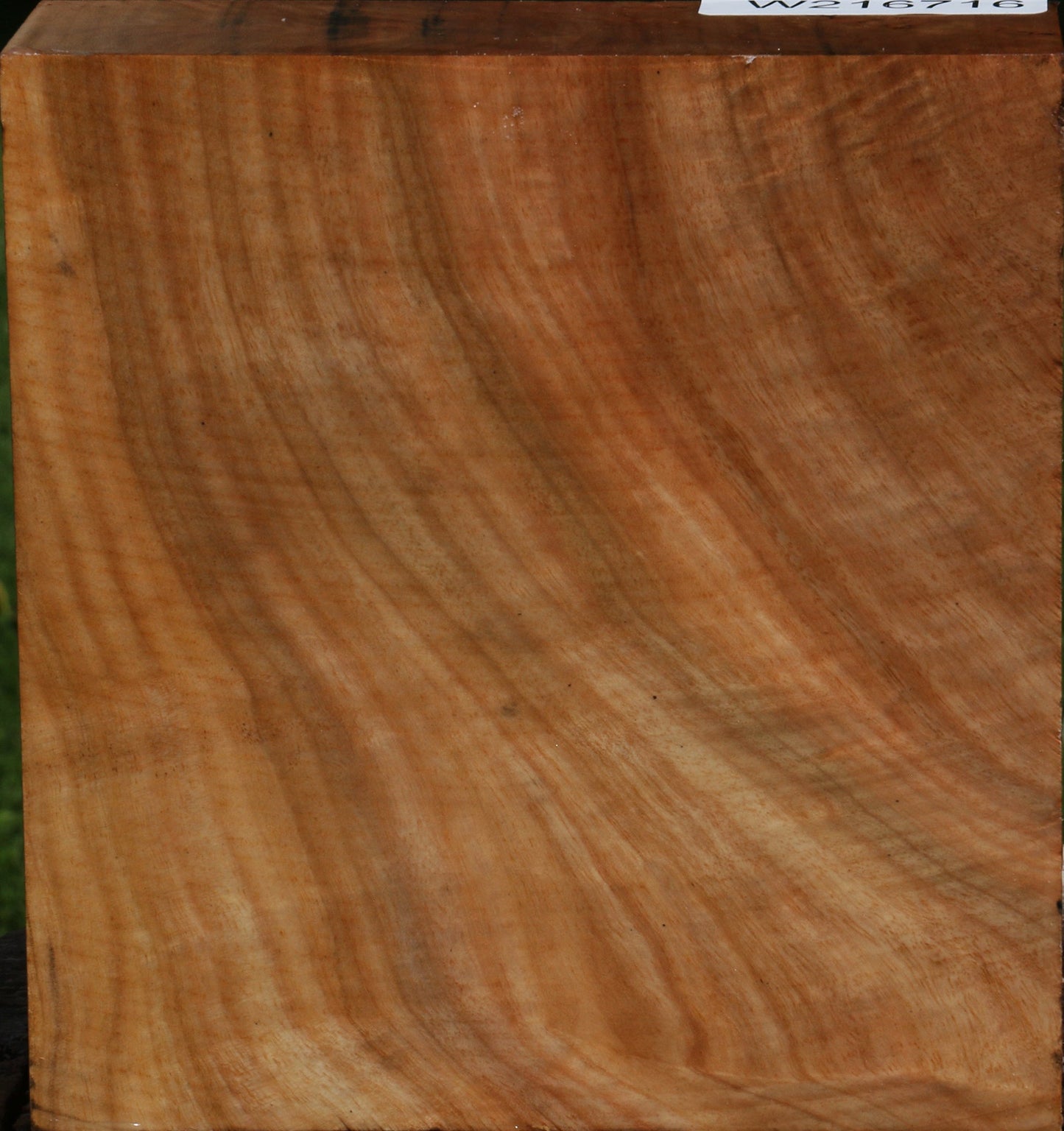 Figured Australian Eucalyptus Burl Bowl Blank