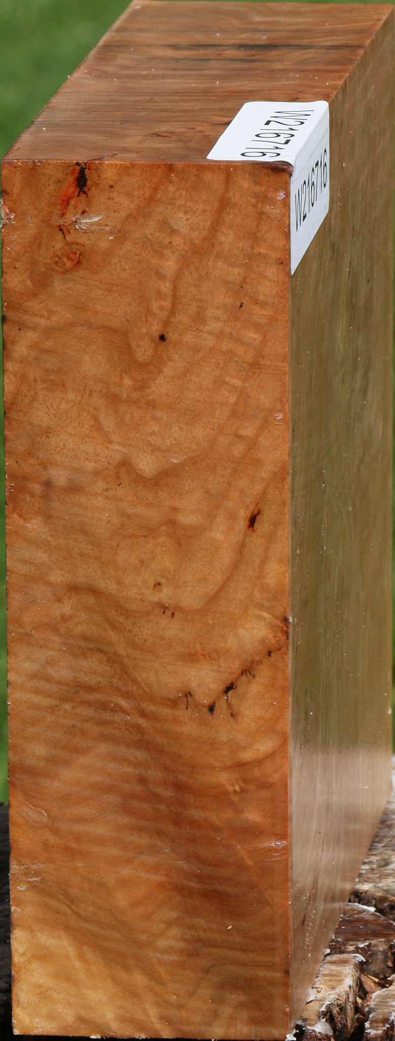 Figured Australian Eucalyptus Burl Bowl Blank