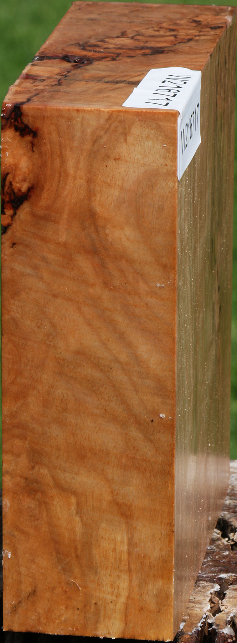 Extra Fancy Australian Eucalyptus Burl Bowl Blank