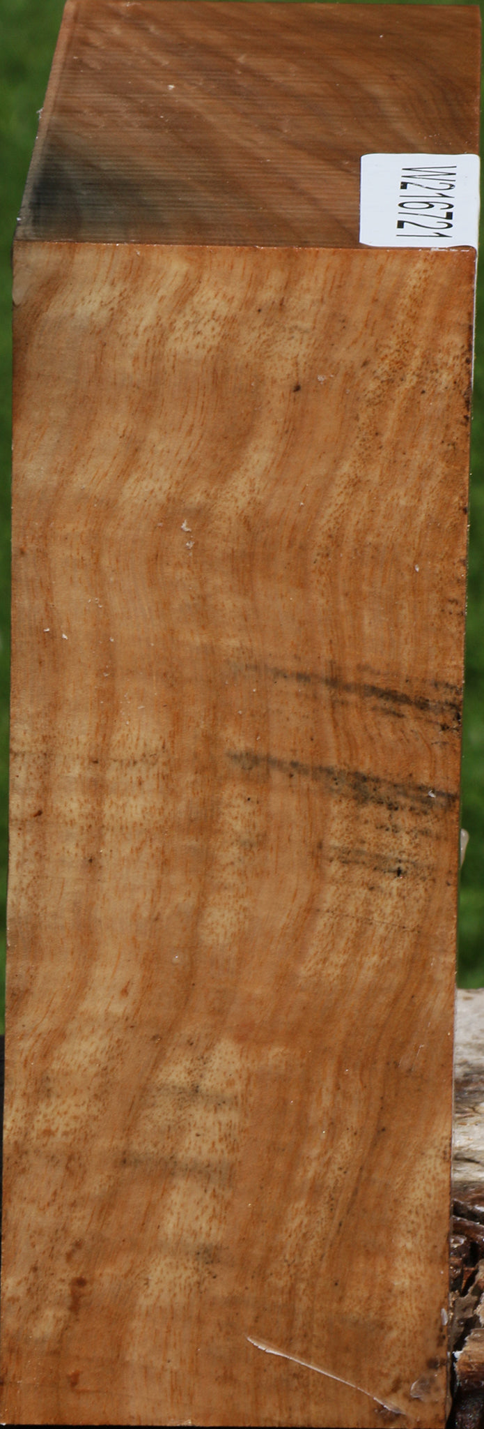 Figured Australian Eucalyptus Burl Bowl Blank