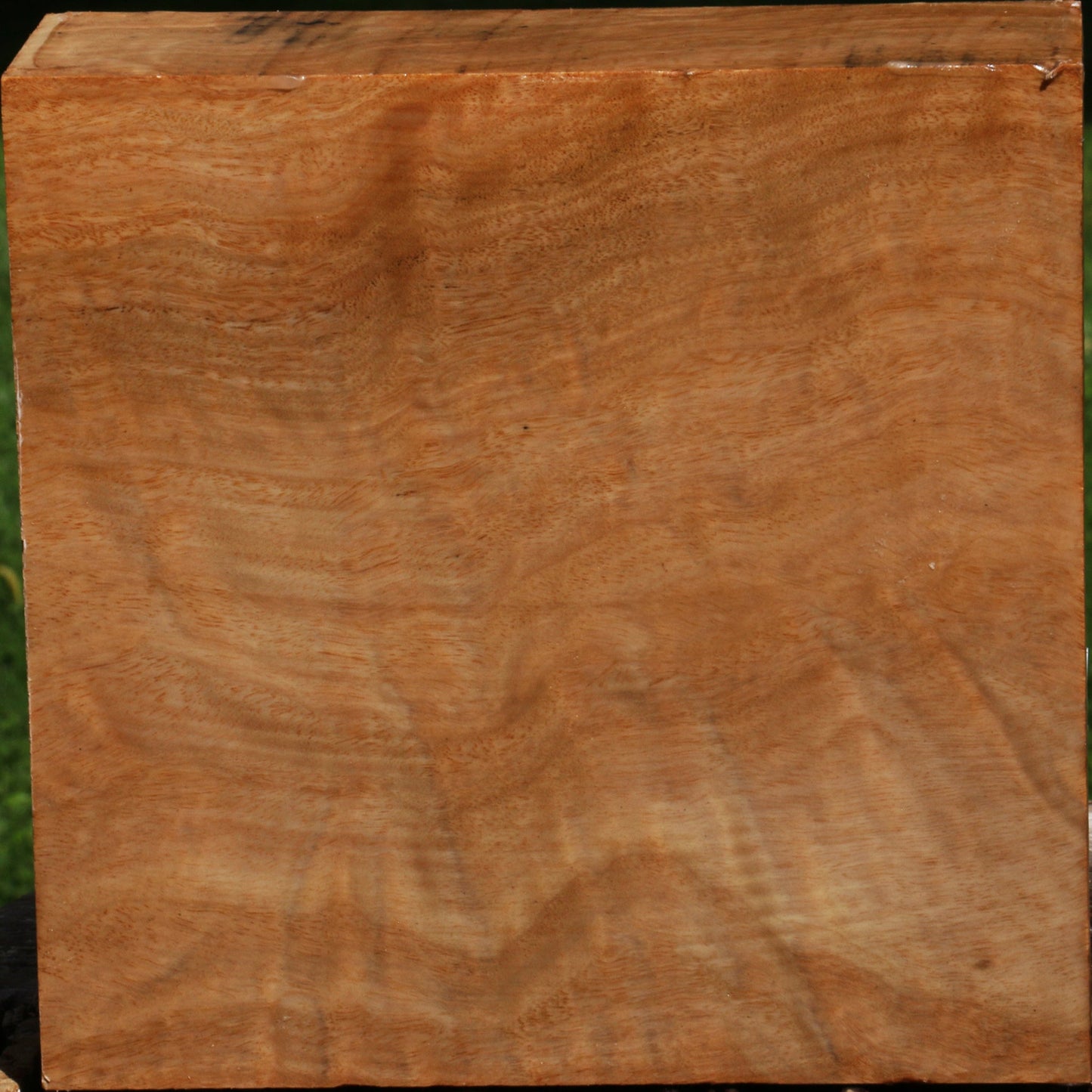 Figured Australian Eucalyptus Burl Bowl Blank