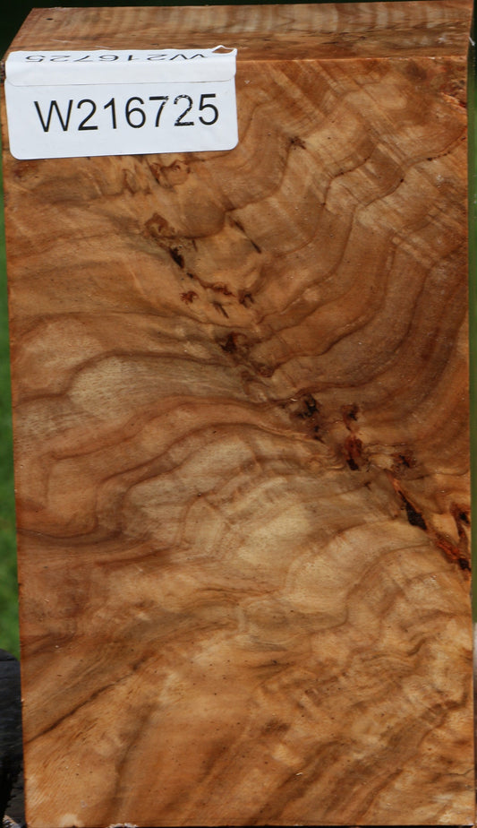 Extra Fancy Australian Eucalyptus Burl Turning Blank